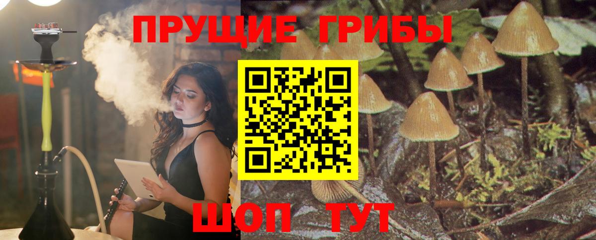 Галлюциногенные грибы прущие грибы Кондопога